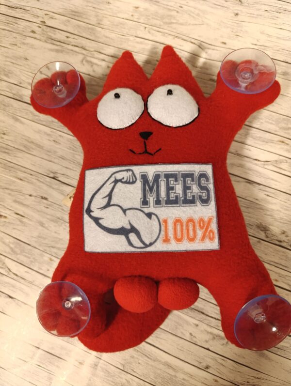 Kass Simon autole "100% mees"